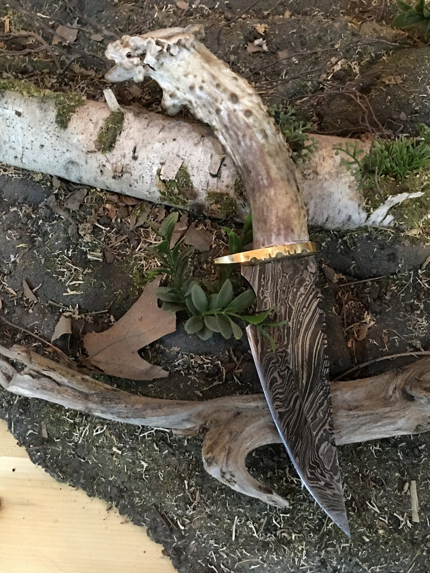 Damascus Steel Antler Knife